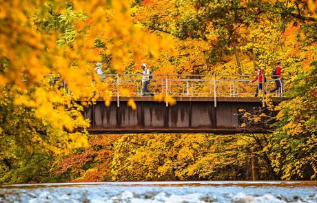 Campus photo in the fall with a bridge
