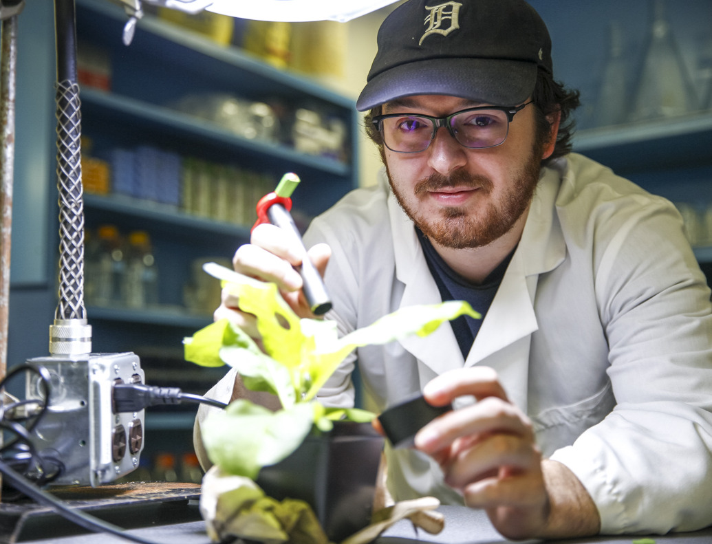 Matt Morency image with a plant