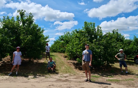 5 lab members stand in an apple orchard, each looking in a different direction.