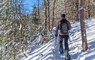 figure snowshoes through the snow