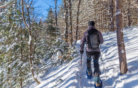 figure snowshoes through the snow